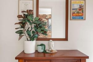 a plant in a white vase on a wooden table at Harbour Creek in Ulladulla +16 photos