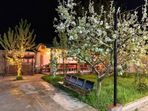 a park bench under a tree in a yard at night at The Saguramo House in Saguramo