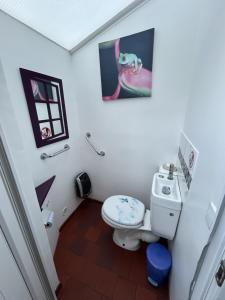 a bathroom with a toilet and a picture on the wall at maison floréal in Criel-sur-Mer +27 photos