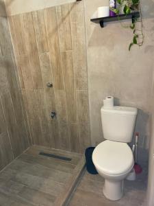 a bathroom with a toilet and a shower at Monoambiente Privado in Luque +5 photos