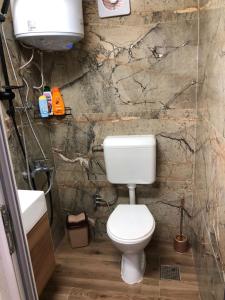 a bathroom with a toilet and a stone wall at Villa ADUSHI Nashec in Prizren +16 photos