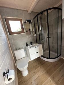 a bathroom with a toilet and a shower and a sink at Pięć Sosen in Wiele +22 photos