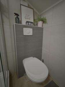 a bathroom with a white toilet in a room at Dressing vibe in Ettelbruck