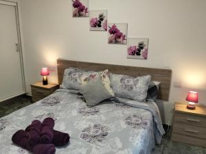 a bedroom with a bed with purple pillows and two lamps at Alojamientos Harizan in Agaete