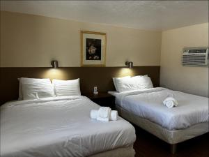two beds in a hotel room with white sheets at JET Motor Inn - Buffalo in Buffalo +13 photos