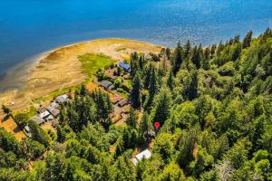 an aerial view of a house on a hill with trees at Hill House in Belfair