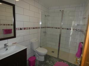 a bathroom with a toilet and a sink and a shower at Alojamientos Harizan in Agaete +39 photos