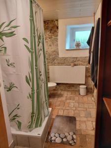 ein Badezimmer mit Dusche und Bambusduschvorhang in der Unterkunft Sonnenberghof in Glashütte