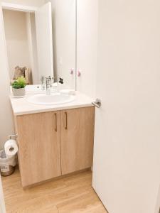 a bathroom with a sink and a mirror at Lovely Brand New Suite in Sidney