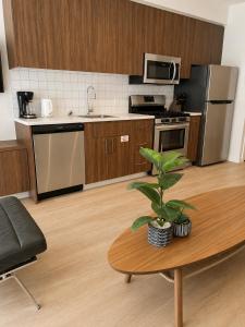 a kitchen with stainless steel appliances and a table with a plant at Lovely Brand New Suite in Sidney