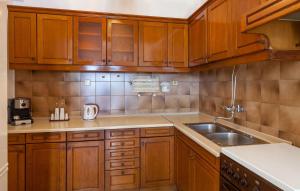 a kitchen with wooden cabinets and a sink at Apartments Nena in Pisak