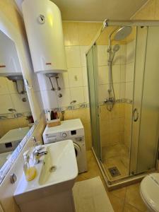 a bathroom with a sink and a shower at Apartments Popovic 2 in Kotor +34 photos