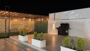a patio with three potted plants and a piano at Sadeel chalet in Kerak +1 photo