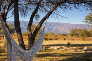 a hammock hanging from a tree in a field at Refugio Serrano con Chimenea y Caballos in San Javier +15 photos
