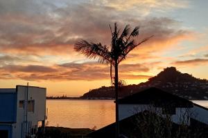 a palm tree sitting next to a body of water at Driftwood Sands Studio in Tairua +6 photos