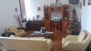 a living room with a christmas tree and a couch at Hostel Marino Rosario in Rosario