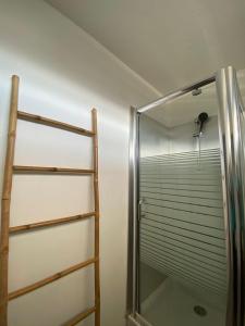 a shower with a glass door next to a ladder at Hibis Gold in Cayenne