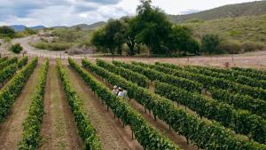 a group of people walking through a vineyard at Sentio Camps - All Inclusive in Cabra Corral