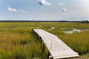 a wooden boardwalk in a marshy field at To the Lighthouse in Birch Town