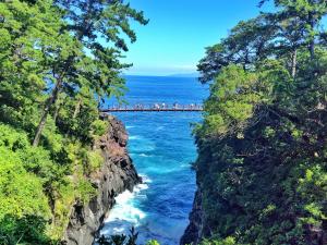 a bridge over a body of water with people on it at KAMENOI HOTEL Izukogen in Ito +73 photos