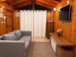a living room with a couch and a television at Casa en Santiago equipada in Santiago