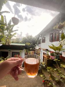 a hand holding a cup of tea in front of a house at Live in Nature in Darjeeling