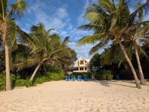 a house on a beach with two palm trees and two chairs at Serenity Sands Cayman in Bodden Town