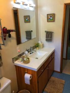 uma casa de banho com um lavatório e um espelho em Hale “Hā Hā” em Pahoa