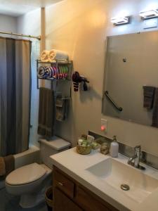 a bathroom with a sink and a toilet and a mirror at Hale “Hā Hā” in Pahoa