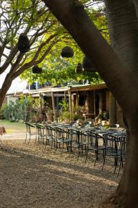 a group of tables and chairs under a tree at Casa Gulal in Teotitlán del Valle +26 photos