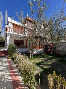 a house with a tree in front of it at Thangkop House in Leh