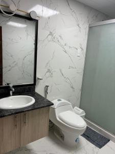 a bathroom with a toilet and a sink and a mirror at House Mei in Oruro