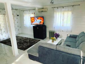 a living room with a couch and a tv at La samba in Crisan