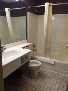 a bathroom with a sink and a toilet and a shower at Brookshire Inn in Inez