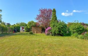 a yard with a shed in the middle of a field at 2 Bedroom Stunning Home In Vordingborg in Vordingborg +8 photos