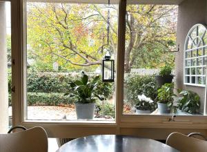 a window with a table and potted plants at Beautiful Brighton in Melbourne +3 photos