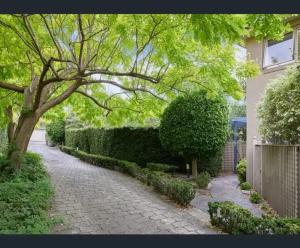 a brick walkway with a tree and a hedge at Beautiful Brighton in Melbourne
