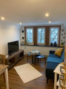 a living room with a blue couch and a tv at Ferienwohnungen Berghaus - 2 komfortable Appartements für bis zu 7 Personen in Schmallenberg