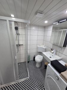 ein Badezimmer mit Dusche, Toilette und Waschbecken in der Unterkunft Panoramic Hause in Uttenweiler