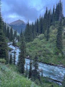 a river in the middle of a field with trees at Alim yurt camp in Mineralʼnyy Istochnik Altyn-Arasan