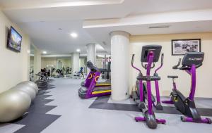 Fitness centrum a/nebo fitness zařízení v ubytování Hotel Ayoub & Spa