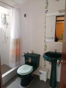 a bathroom with a green toilet and a sink at Lake HOME in Puno