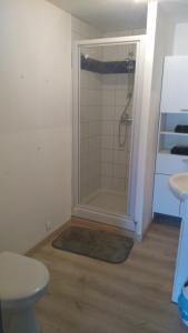 a bathroom with a shower with a toilet and a sink at Studios à la Campagne in Neuilly-lʼÉvêque
