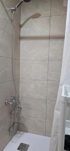 a shower with a shower head in a bathroom at apto La Campana in Toledo +6 photos