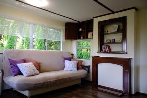 a living room with a couch and a fireplace at Kalva Sumowo in Sumowo