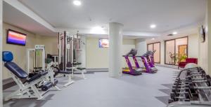 Fitness centrum a/nebo fitness zařízení v ubytování Hotel Ayoub & Spa