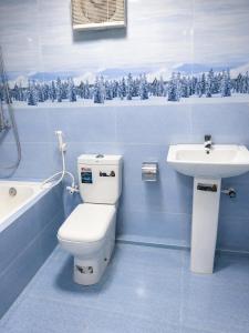a blue bathroom with a toilet and a sink at DNN Brothers Villa in Jaffna