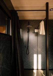 a bathroom with a shower with a shower curtain at Heyscape Denmark in Denmark +91 photos