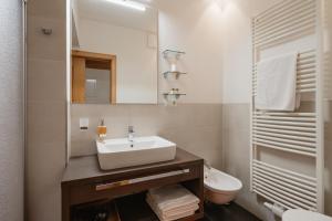 a bathroom with a sink and a toilet and a mirror at Apartments Rezia in Ortisei +40 photos