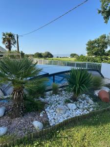 a garden with palm trees and a swimming pool at Gite aux grès des vents in Champeaux